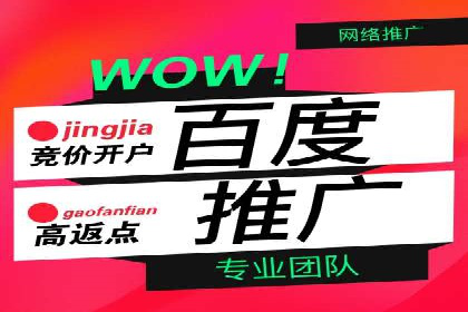 百度推广代运营助力企业增长案例